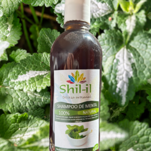 Shampoo de Menta