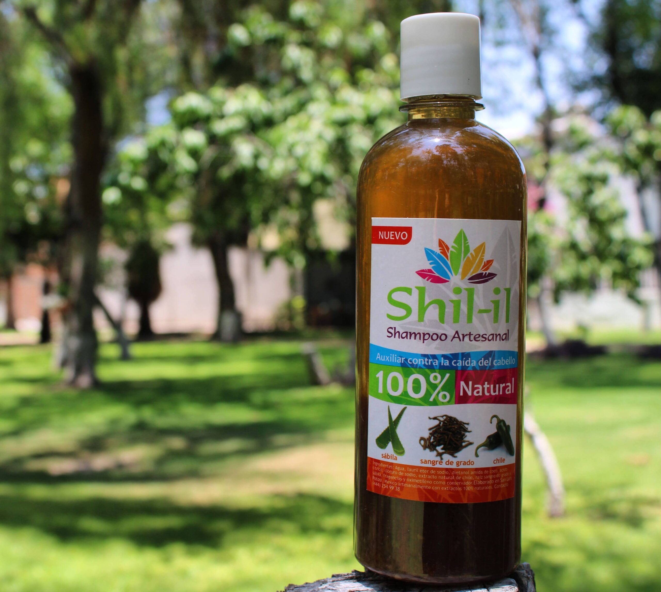 Shampoo Anticaída Chile, sábila y sangre de grado - Imagen 2